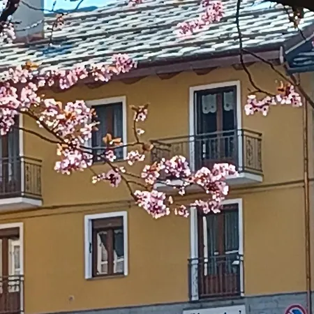 Il Larice *